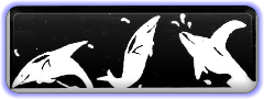 Dolphin Logo