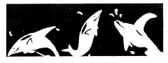 Dolphin Fusion Logo