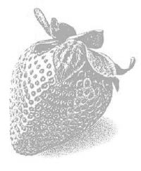 Strawberry Logo